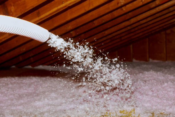 Best Residential Insulation Services  in Elma Center, NY